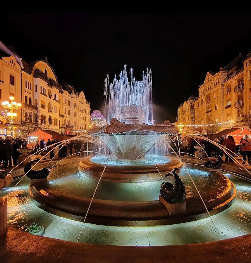 Premium Timisoara 아파트 외부 사진