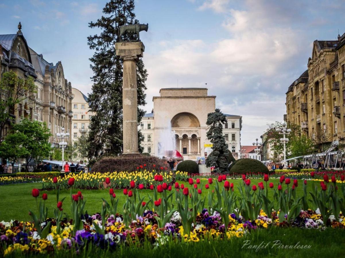 Premium Timisoara 아파트 외부 사진