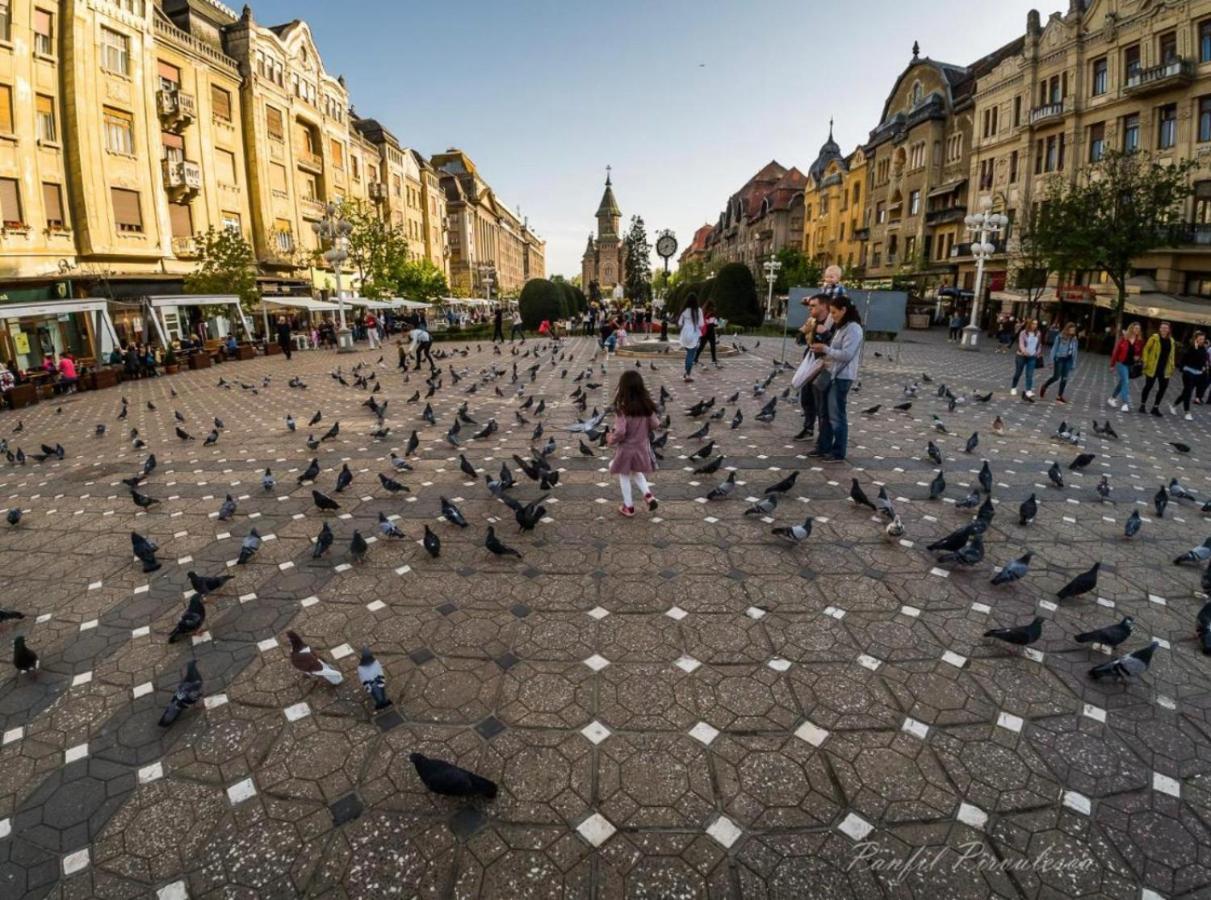 Premium Timisoara 아파트 외부 사진