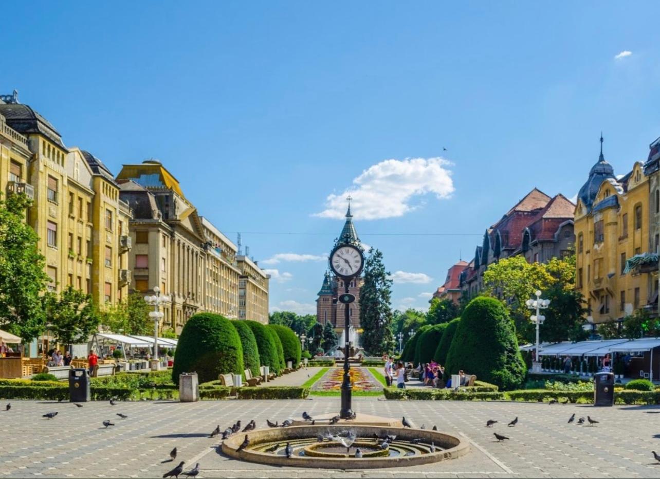 Premium Timisoara 아파트 외부 사진