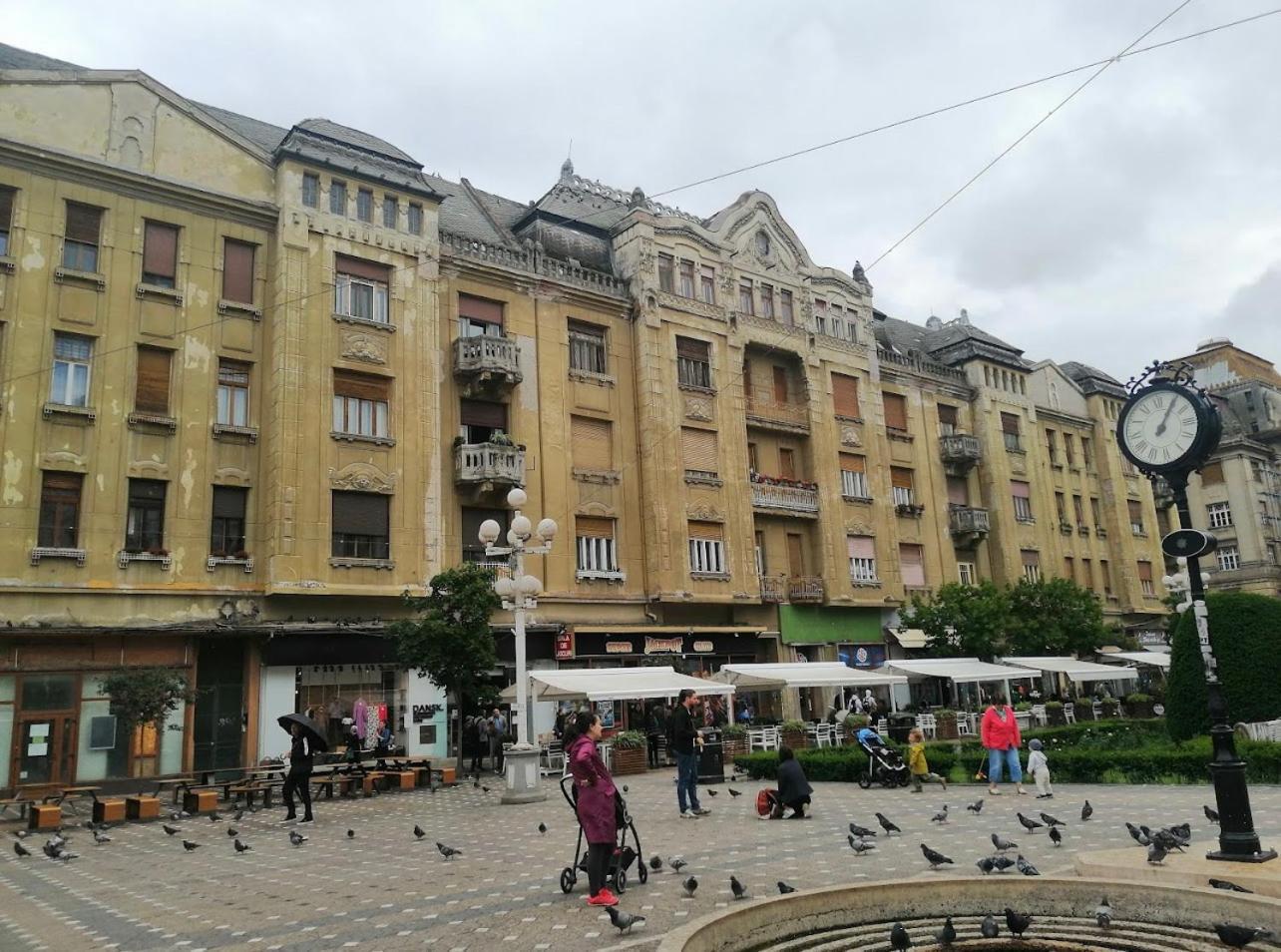 Premium Timisoara 아파트 외부 사진